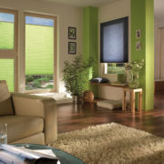 Wohnzimmer mit grünen Farbakzenten